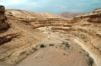 Jeep Tour Negev Heights Safari Night